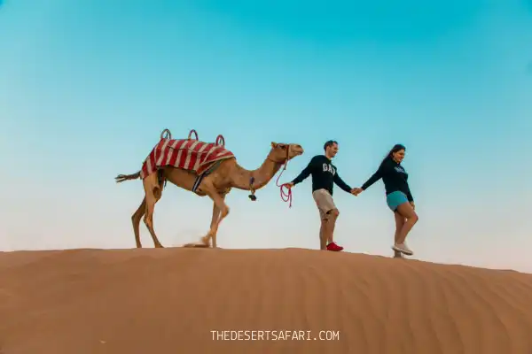 Camel Ride Dubai Tour