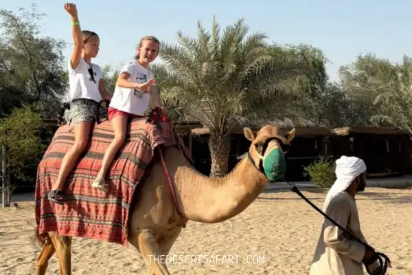Camel Ride in Dubai Desert