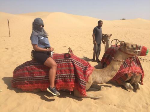 desert land with camel