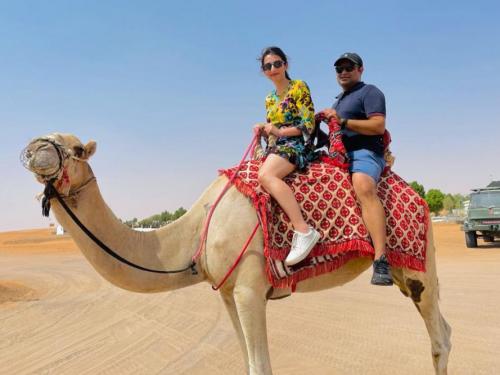 desert camel ride dubai