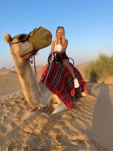 dubai camel ride desert