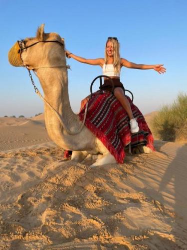 ride camel in dubai