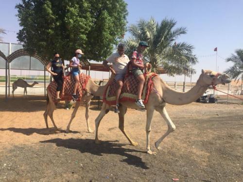 dubai desert camel ride