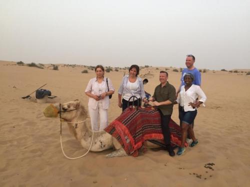 dubai desert camel