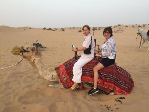 Camel riding in Dubai desert
