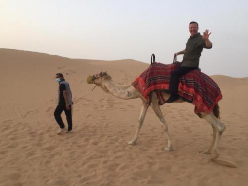 desert images with camel